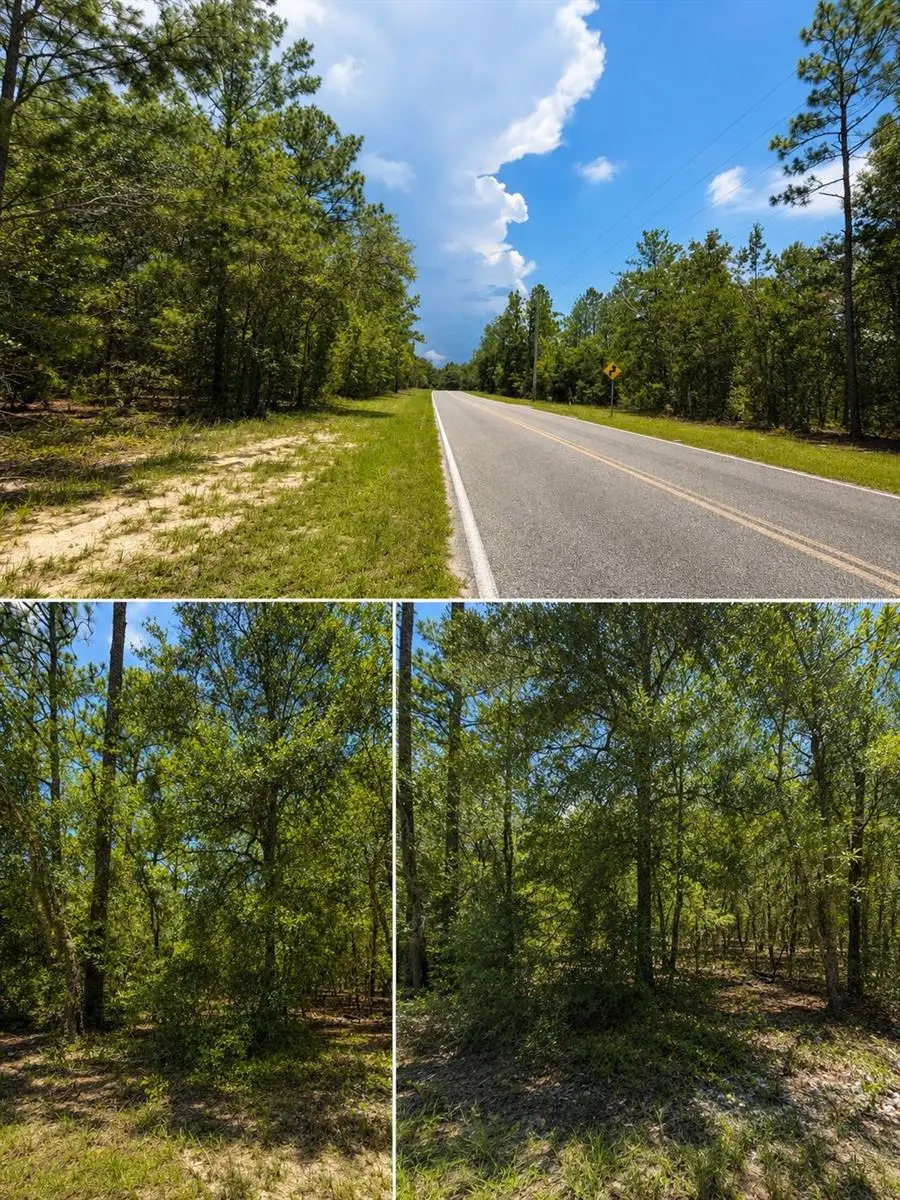 507 & 509 Baden Powell Road, Hawthorne, FL 32640 - #1
