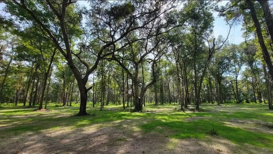 NW 128th Terrace #Lot 36, Reddick, FL 32686 - #2