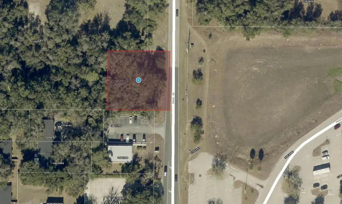 32821 Radio Road, Leesburg, FL 34788 - #1