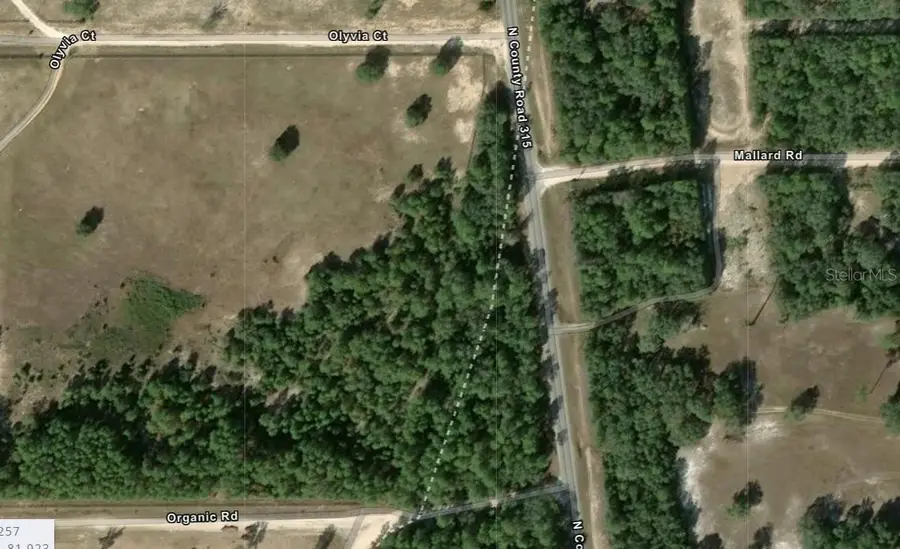 County Road 315c, Melrose, FL 32666 - #2