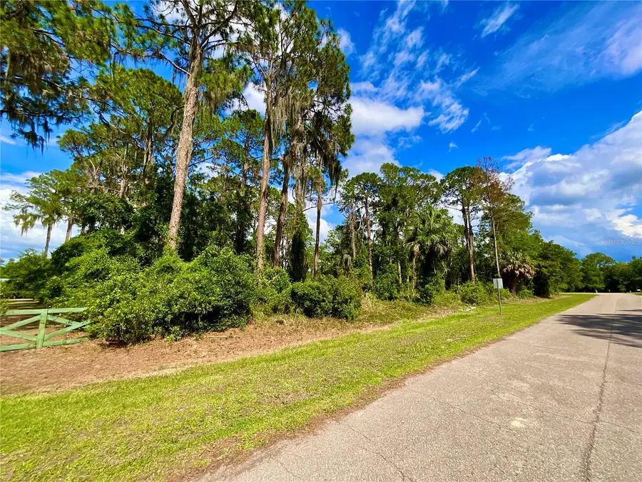 14211 SE 201st Terrace, Hawthorne, FL 32640 - #3