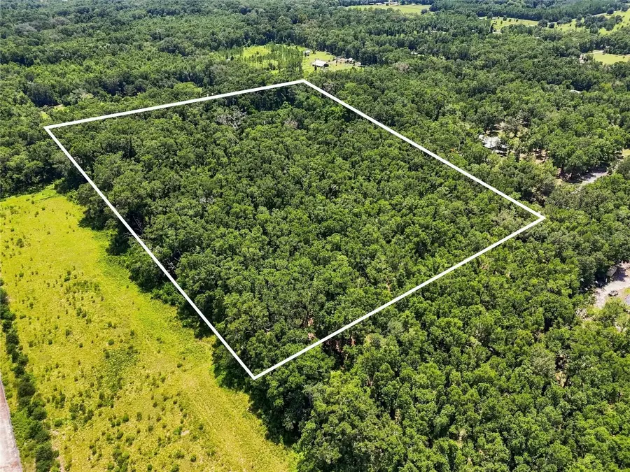 459 SW Bigfoot Court, Fort White, FL 32038 - #2