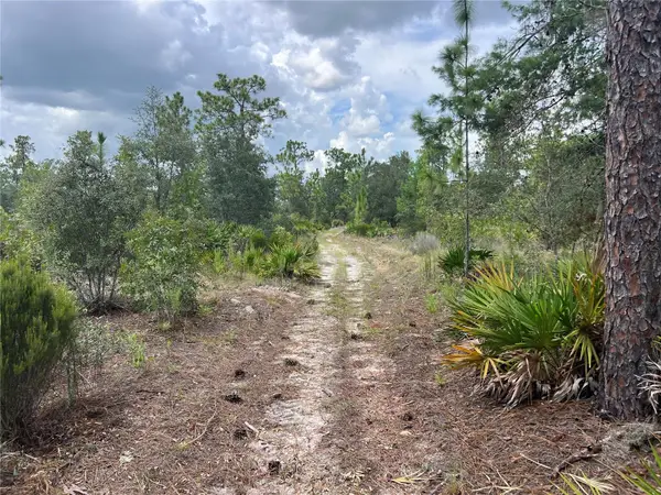 200 Street, ARCHER, FL 32618