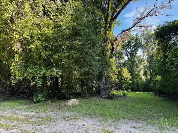 SW Fox Place #Lots 38 & 39, FORT WHITE, FL 32038