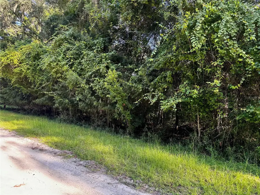 SW Fox Place #Lots 38 & 39, Fort White, FL 32038 - #2