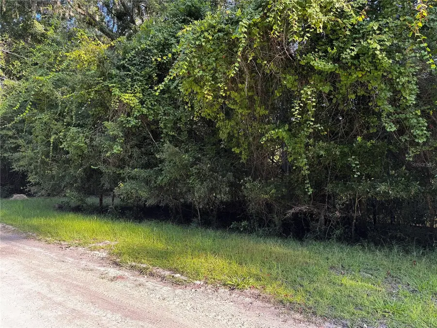 SW Fox Place #Lots 38 & 39, Fort White, FL 32038 - #3