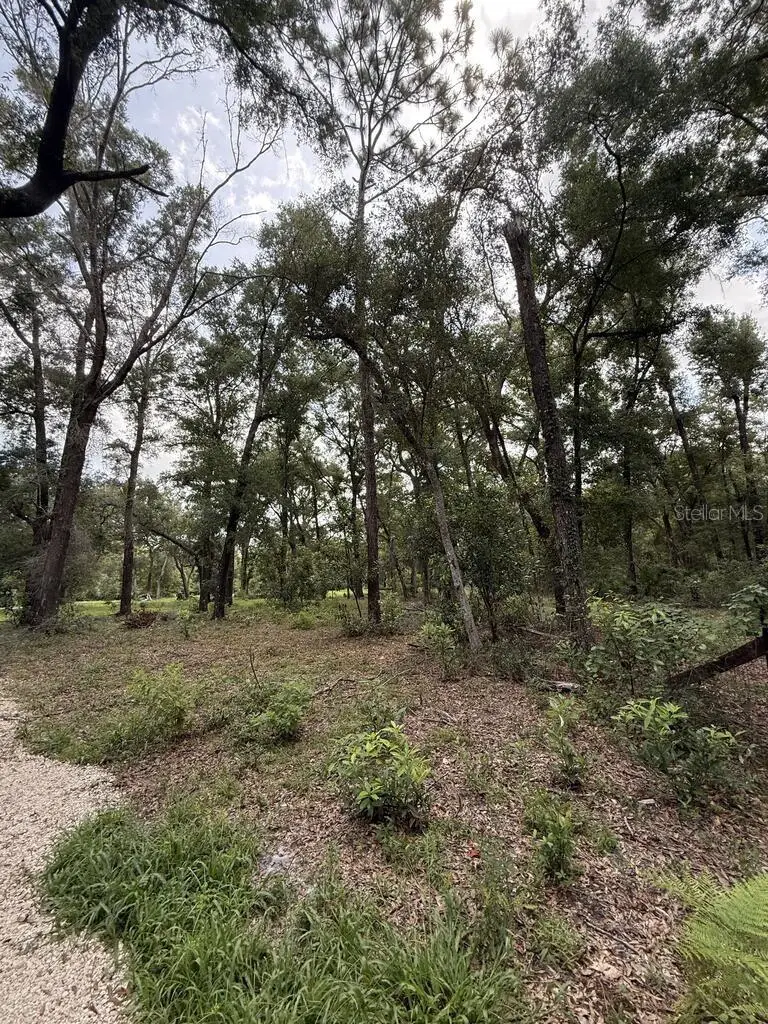 8431 NW 60 Avenue, Chiefland, FL 32626 - #2
