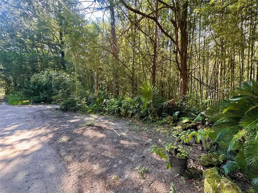 17970 SW 111th Street, Brooker, FL 32622 - #3