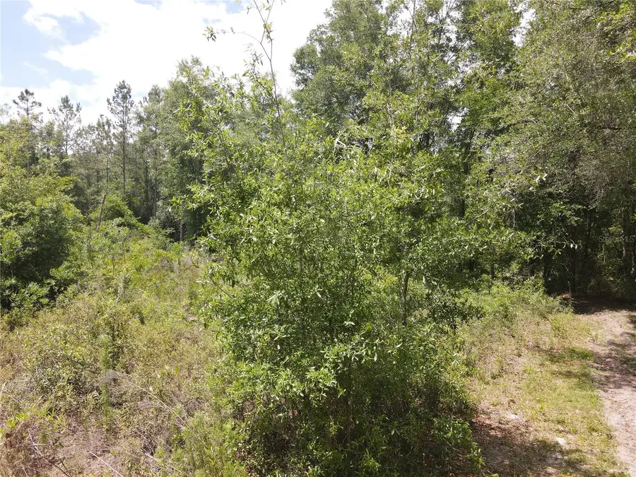 TBD N State Road 121 #3, Alachua, FL 32615 - #3