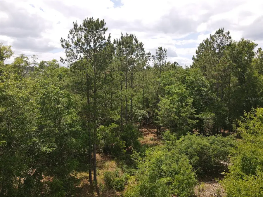 TBD N State Road 121 #1, Alachua, FL 32615 - #3