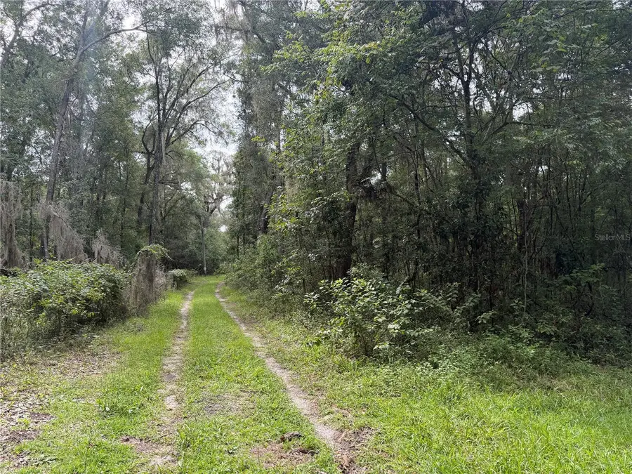 TBD SW 113th Avenue, Gainesville, FL 32608 - #2
