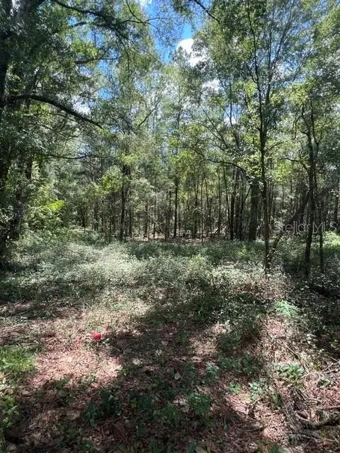 16958 NW Us Hwy 441 Highway Nw, HIGH SPRINGS, FL 32643