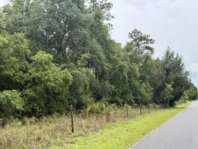 4890 NW 55th Avenue, Bell, FL 32619 - #2