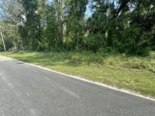 NE 597th Street, OLD TOWN, FL 32680