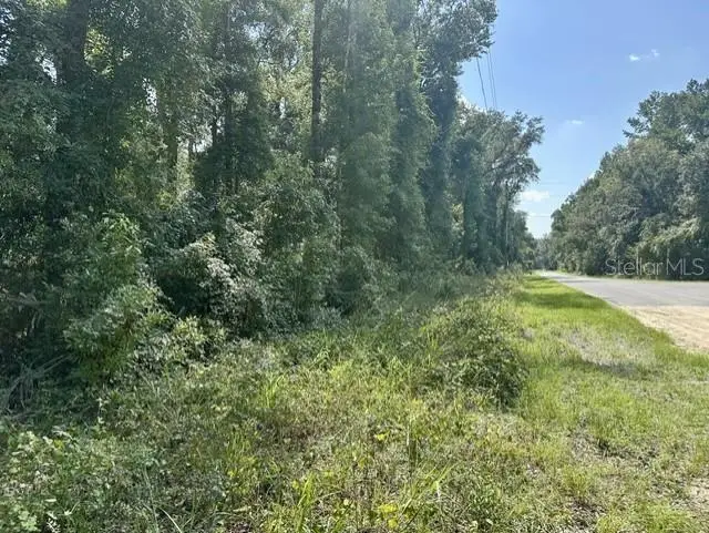 NE 597th Street, Old Town, FL 32680 - #2