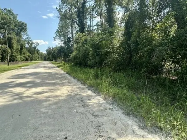 NE 796th Street, OLD TOWN, FL 32680