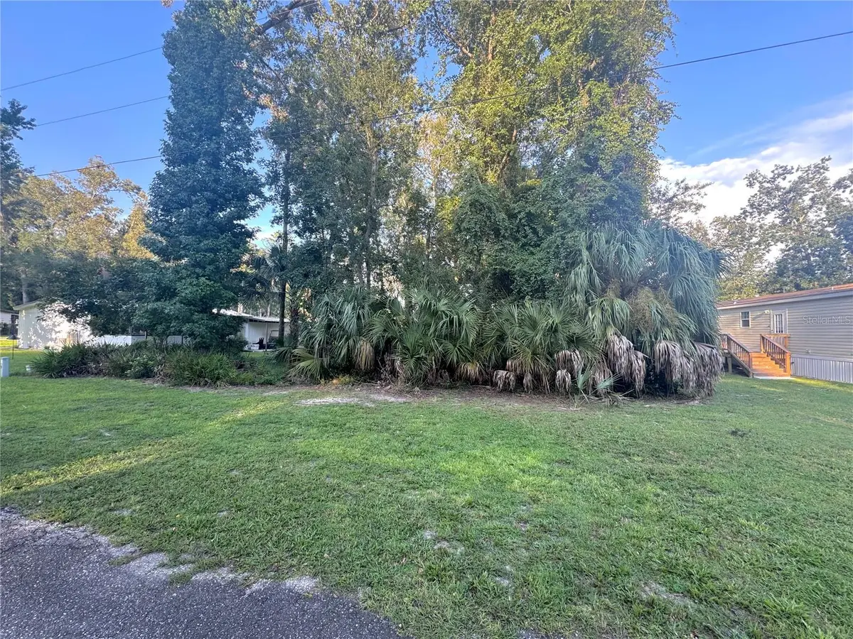 NW 114th Court, Chiefland, FL 32626 - #1