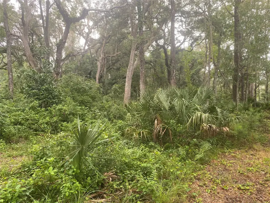 2851 SE 24th Place, Gainesville, FL 32641 - #3