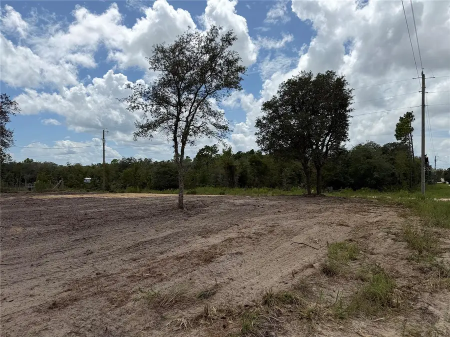 TBD NE 88th Lane, Bronson, FL 32621 - #2