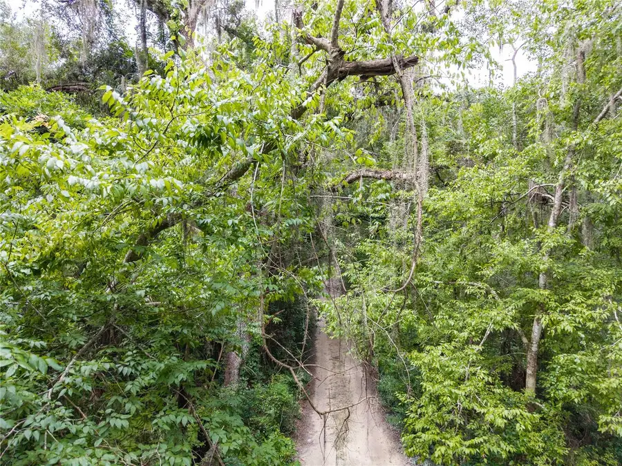SW 57th Rd, Gainesville, FL 32608 - #3