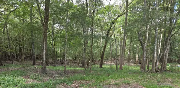 Unassigned, OLD TOWN, FL 32680