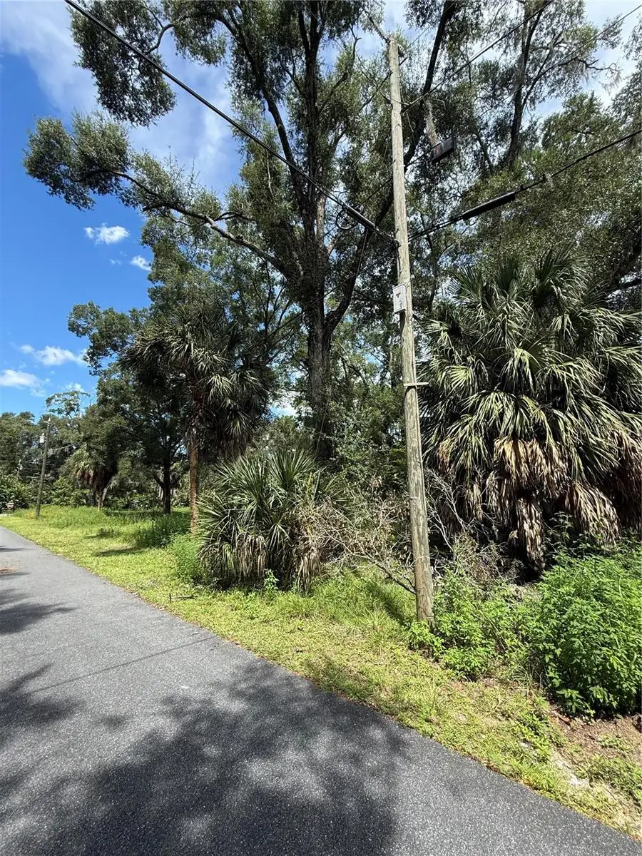 9850 Kentucky Avenue, Fanning Springs, FL 32693 - #2