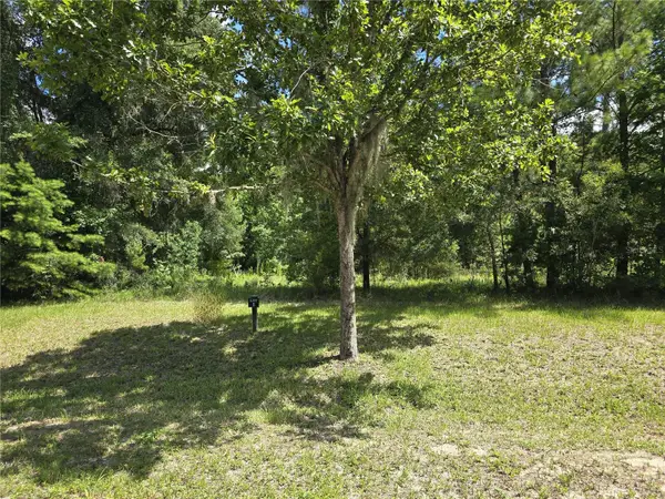 8911 NW 58th Lane, GAINESVILLE, FL 32653