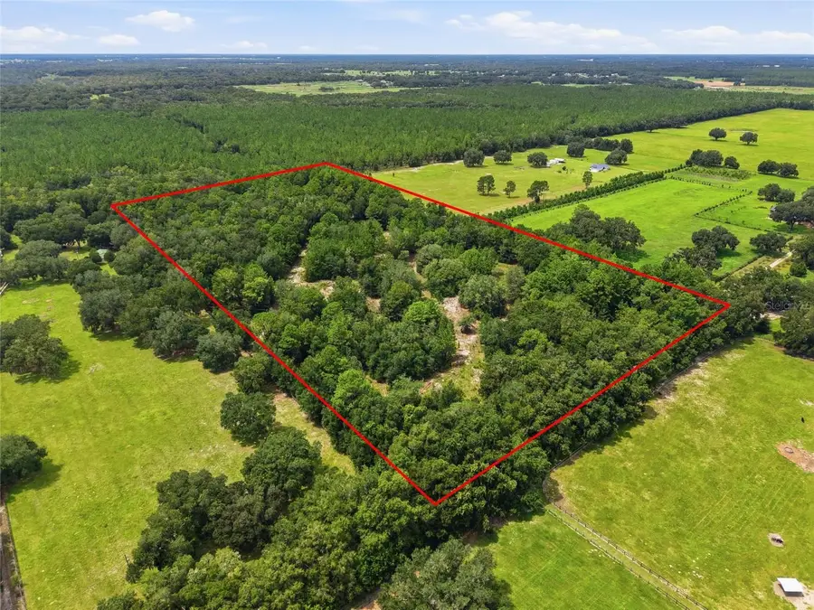 SE 207 Court, Morriston, FL 32668 - #2