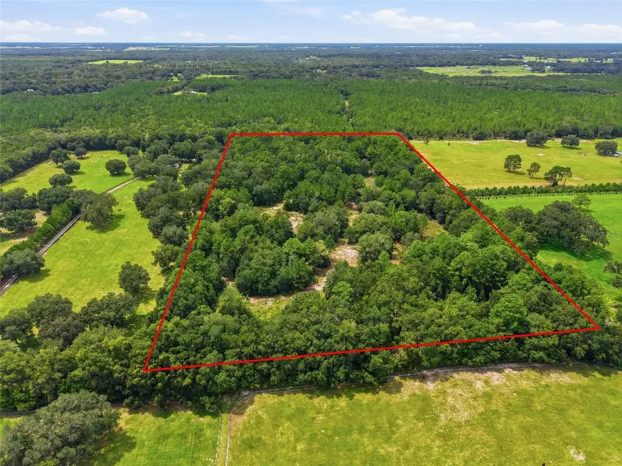 SE 207 Court, Morriston, FL 32668 - #3