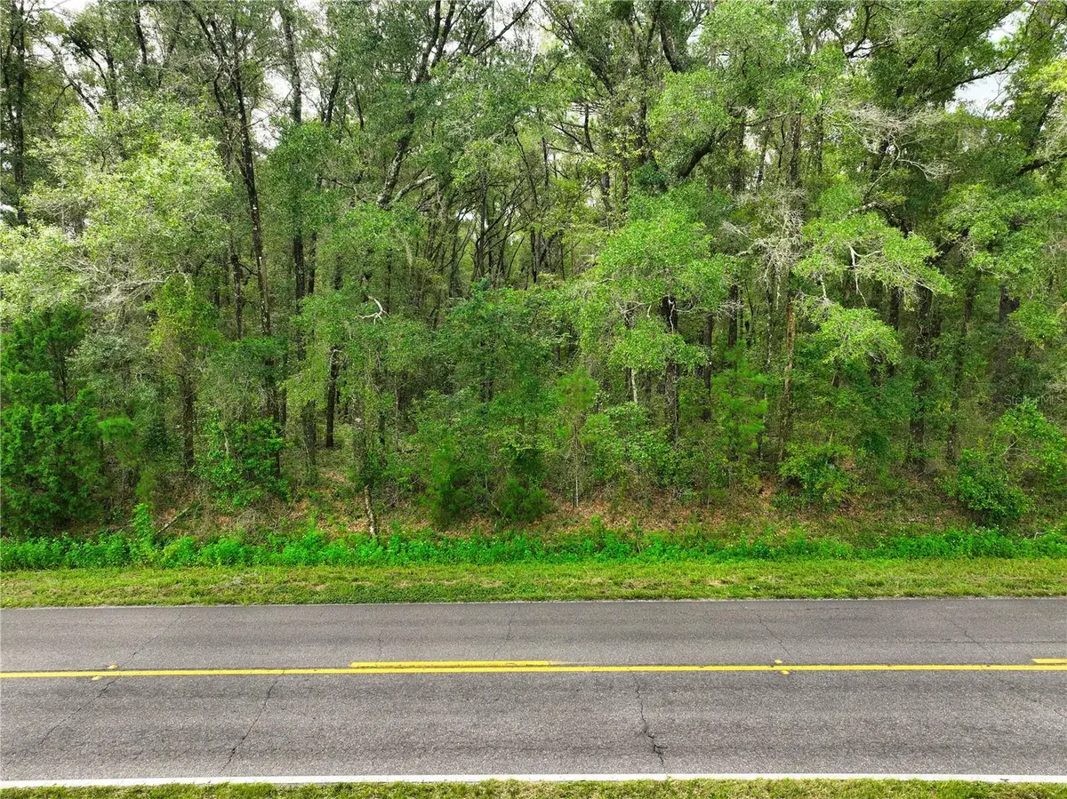 17215 NW 94th Avenue, Alachua, FL 32615 - #1