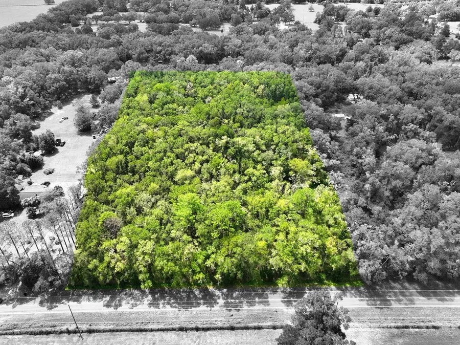 17215 NW 94th Avenue, Alachua, FL 32615 - #2