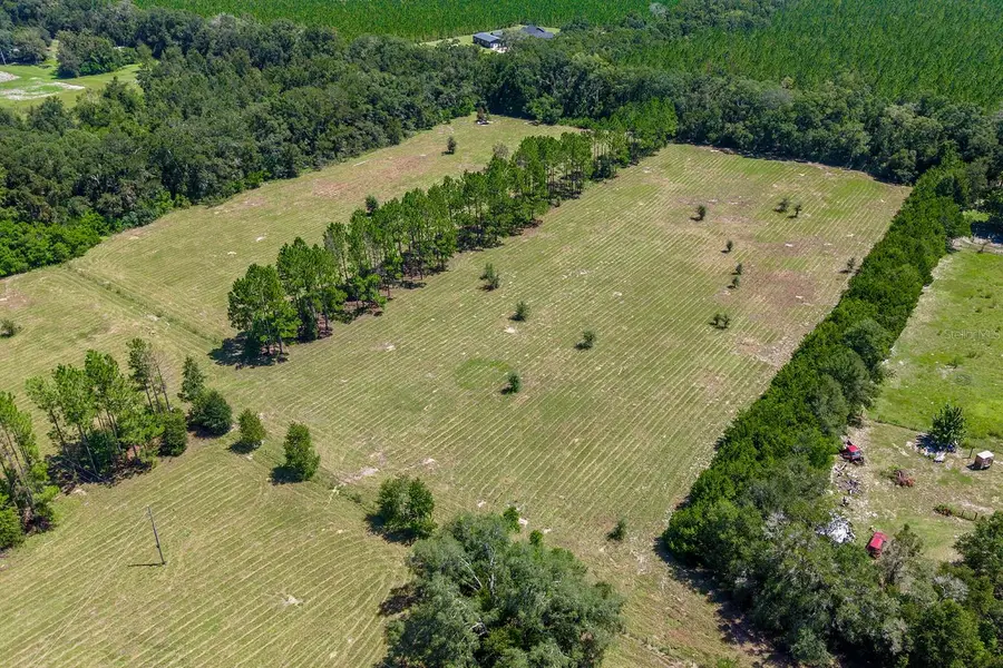 6900 SW 50th Avenue, Trenton, FL 32693 - #2