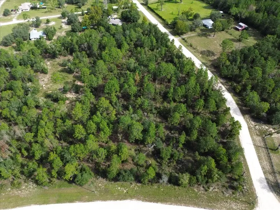 TBD NE 132nd Court, Williston, FL 32696 - #2