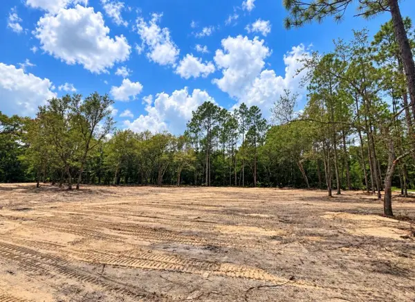 TBD NE 88th Lane, BRONSON, FL 32621