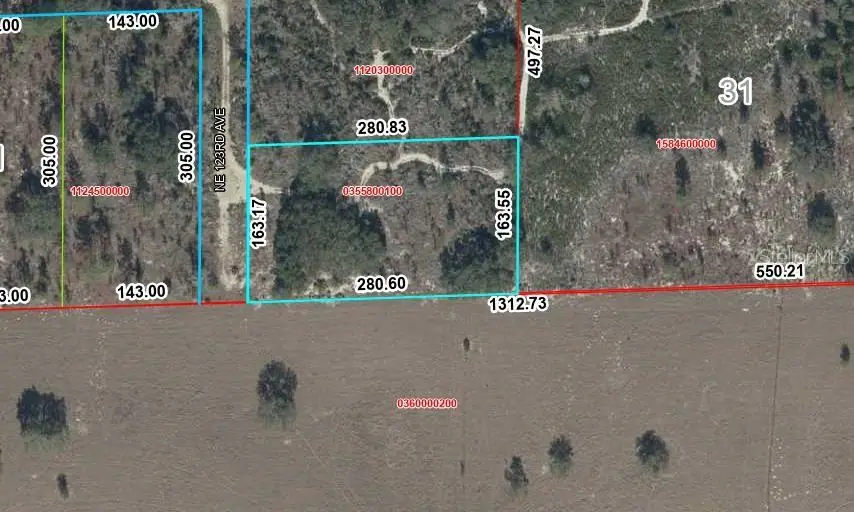 TBD NE 123rd Ave, Williston, FL 32696 - #1