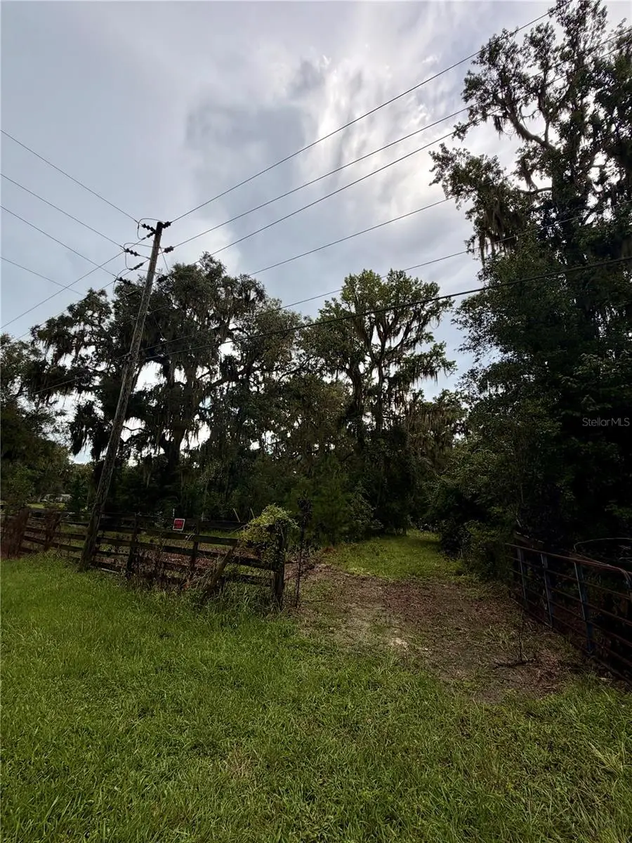 12602 SW Williston Road, Micanopy, FL 32667 - #1