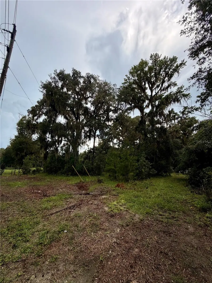 12602 SW Williston Road, Micanopy, FL 32667 - #2