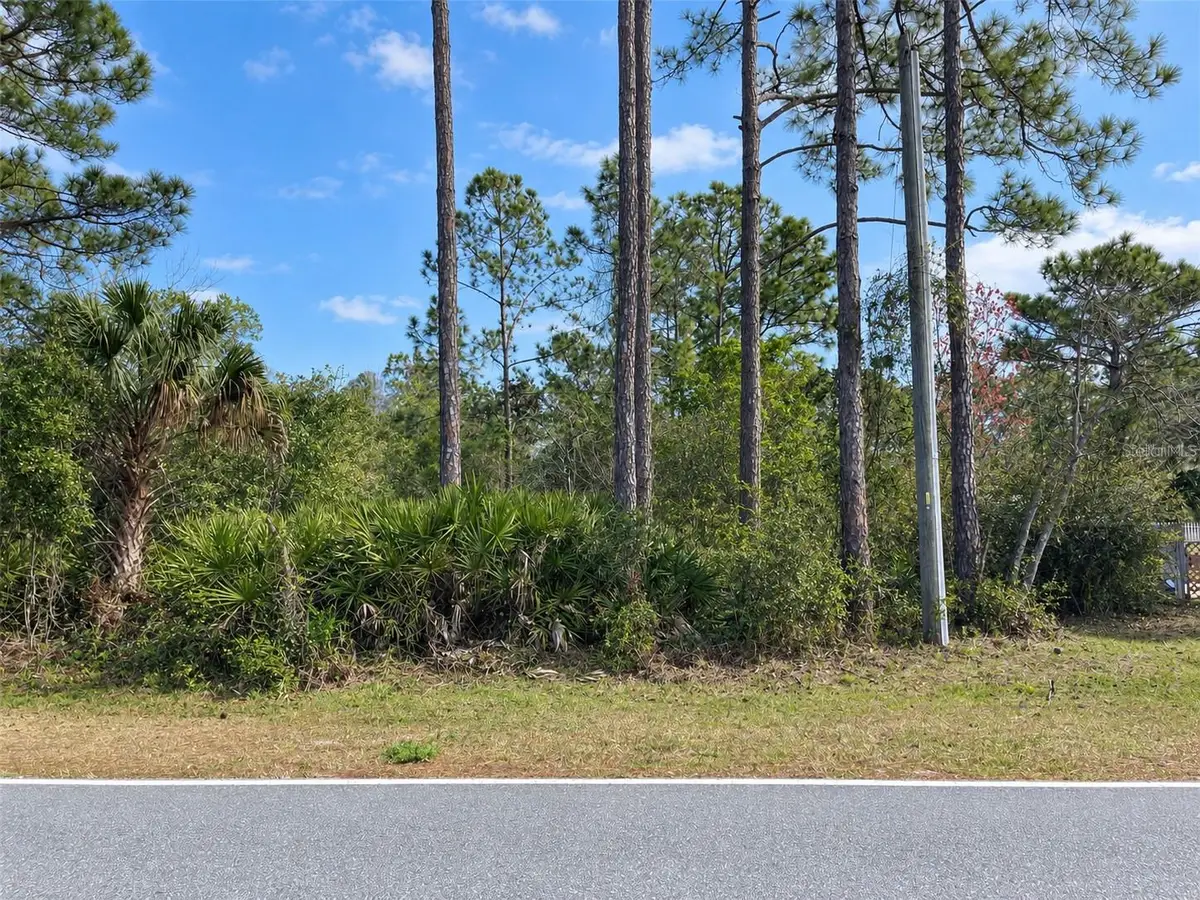 Royal Trails Road, Eustis, FL 32736 - #1
