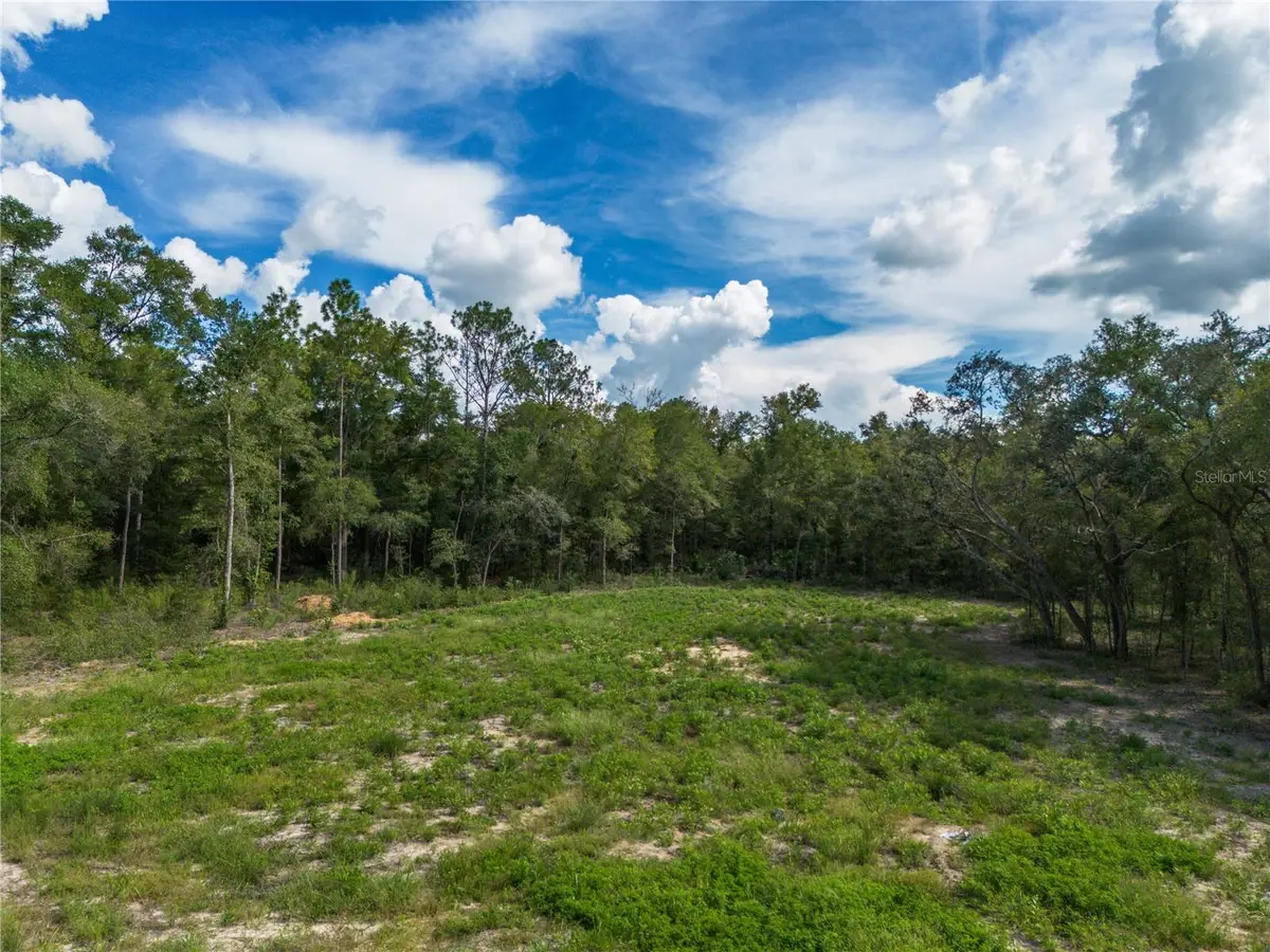 TBD NE 82nd Place, Bronson, FL 32621 - #1