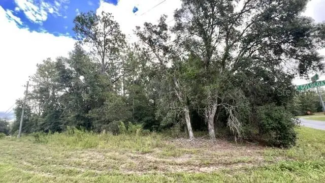 156 W Goldcoast Place, Citrus Springs, FL 34434 - #2