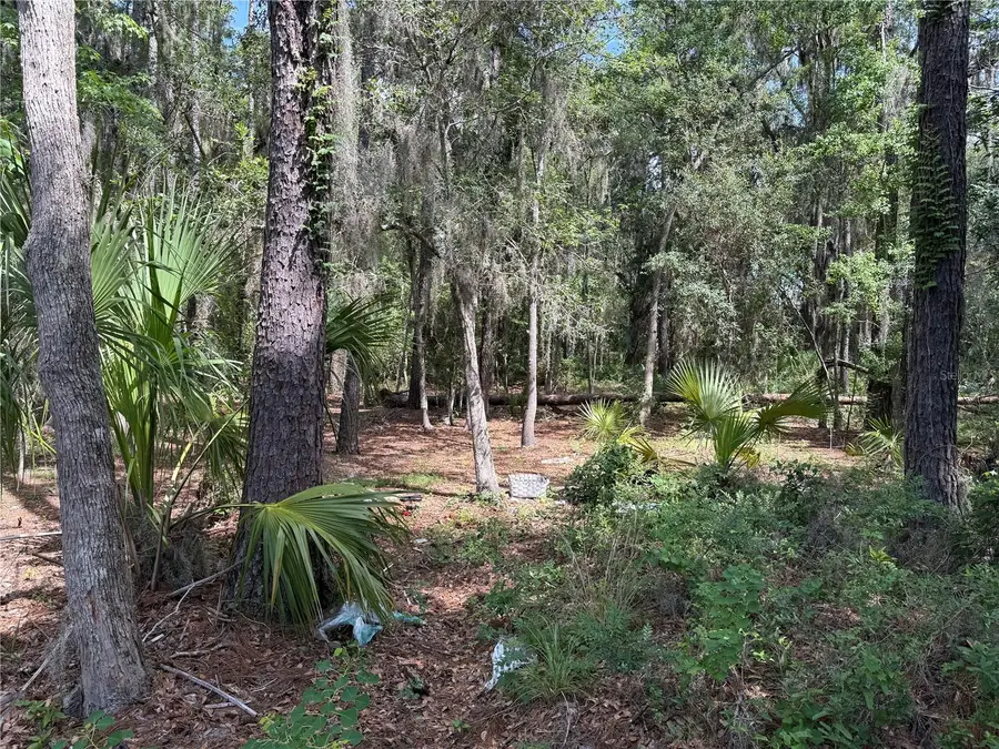 SW 38 Terrace, Gainesville, FL 32608 - #2