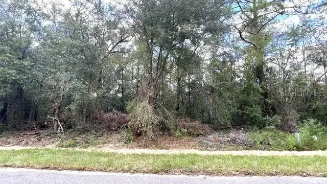 6252 N Cavalier Terrace, Citrus Springs, FL 34433 - #2