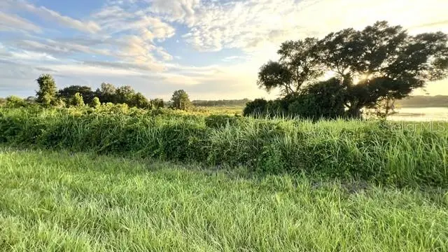 TBD Oak Lane Drive, Ocala, FL 34472 - #2