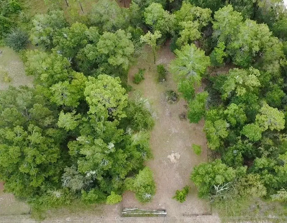 4717 NE 141st Avenue, Williston, FL 32696 - #1