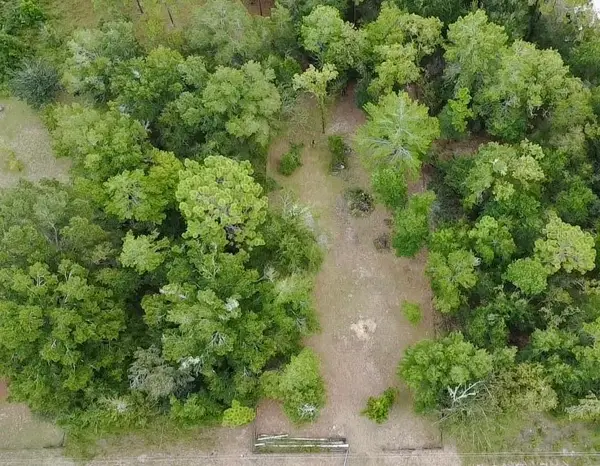 4717 NE 141st Avenue, WILLISTON, FL 32696