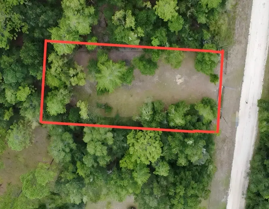 4717 NE 141st Avenue, Williston, FL 32696 - #2