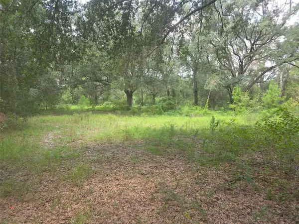 16604 NE 21st Street, GAINESVILLE, FL 32609
