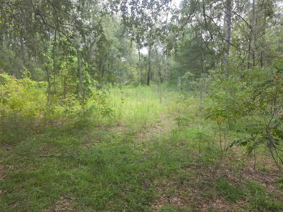 16604 NE 21st Street, Gainesville, FL 32609 - #2