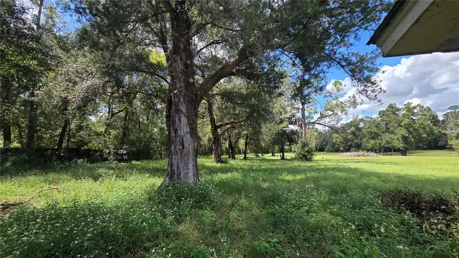 509 N Court Street, Bronson, FL 32621 - #3