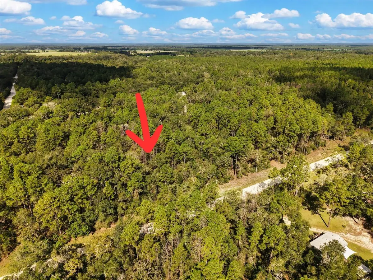 6339 NW 17th Court, Bell, FL 32619 - #1